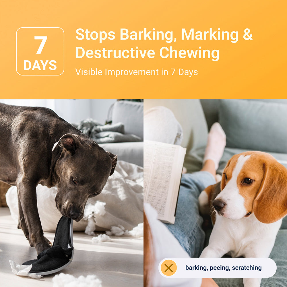 LovePaws™ Calming Pet Diffuser