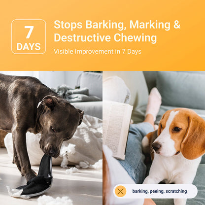 LovePaws™ Calming Pet Diffuser